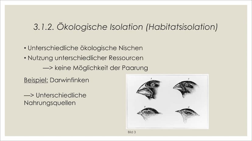 NE
빛
브
브
ARTBILDUNG UND
ISOLATIONSMECHANISMEN
카멜
빛 1. Definitionen
2. Artbildung
1. Artkonzepte
2. Formen der Artbildung
4. Quellenverzeichn