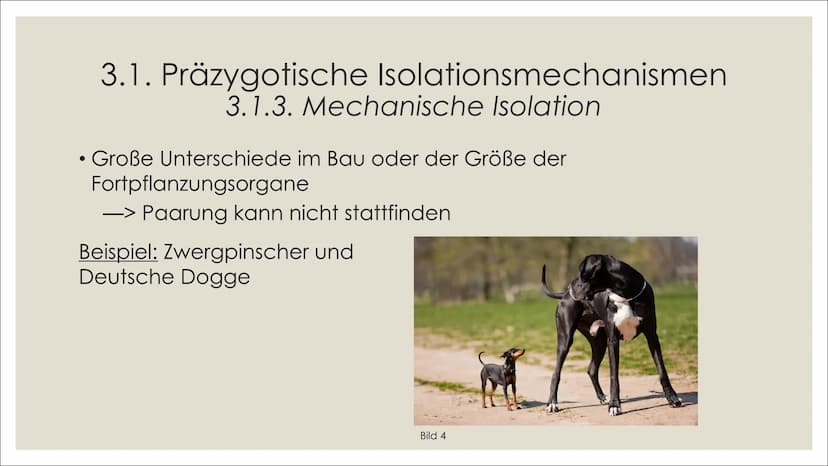 NE
빛
브
브
ARTBILDUNG UND
ISOLATIONSMECHANISMEN
카멜
빛 1. Definitionen
2. Artbildung
1. Artkonzepte
2. Formen der Artbildung
4. Quellenverzeichn