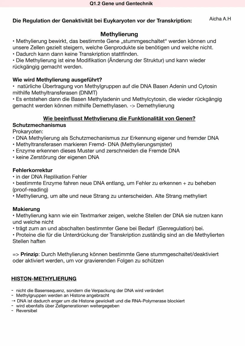 REGULATION DER GENAKTIVITÄT
Gentransfer bei Bakterien
Operonmodell/Jacob-Monod-Modell (Schema) am Beispiel des Lac-Operons bei Prokaryoten
D