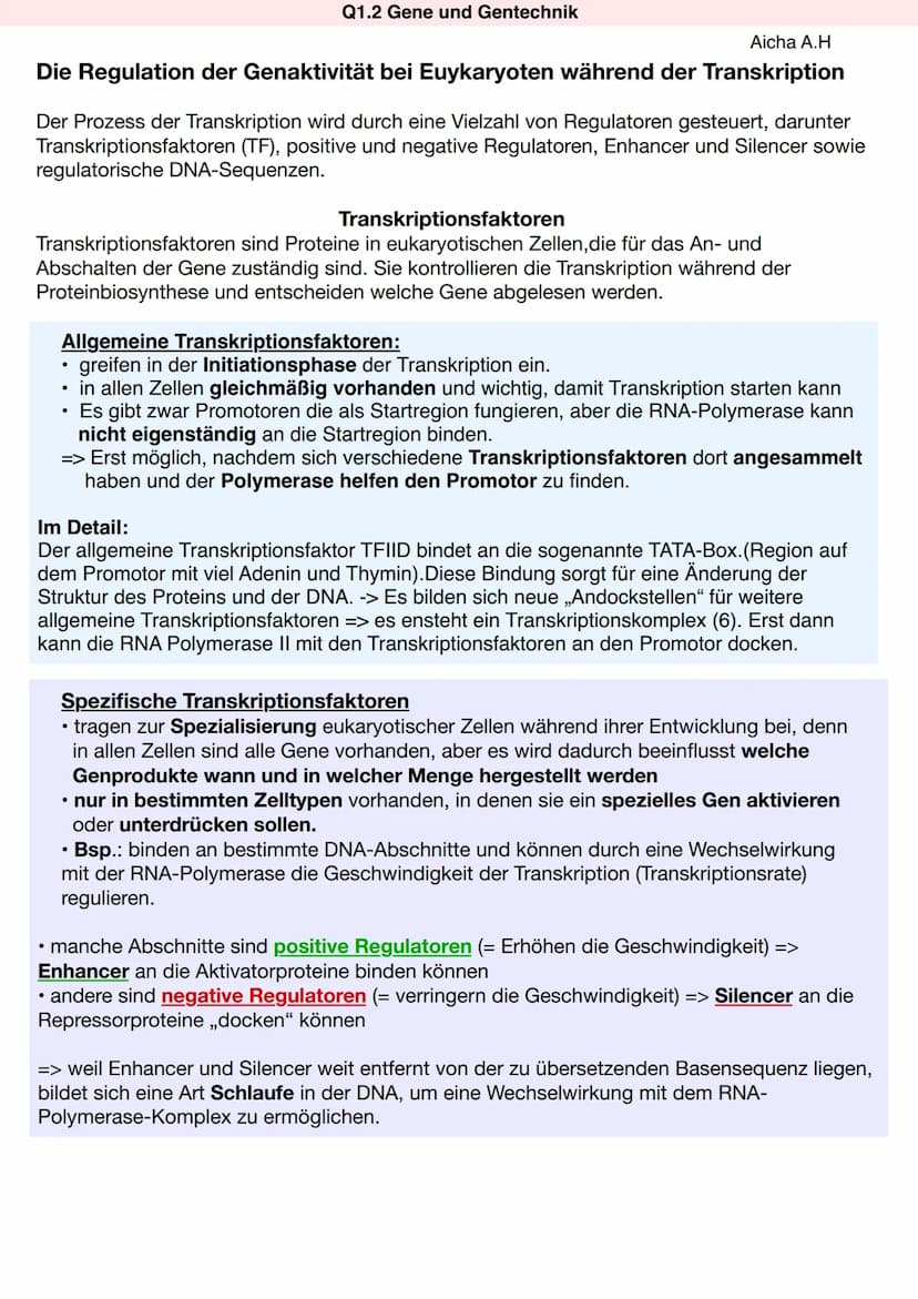 REGULATION DER GENAKTIVITÄT
Gentransfer bei Bakterien
Operonmodell/Jacob-Monod-Modell (Schema) am Beispiel des Lac-Operons bei Prokaryoten
D