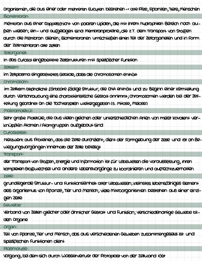 Inhaltsfeld 1: Biologie der Zelle
zellaufbau
zellen = abgetrennte Kompartimente, in denen sich weitere kleinere Bestandteile befinden
unters