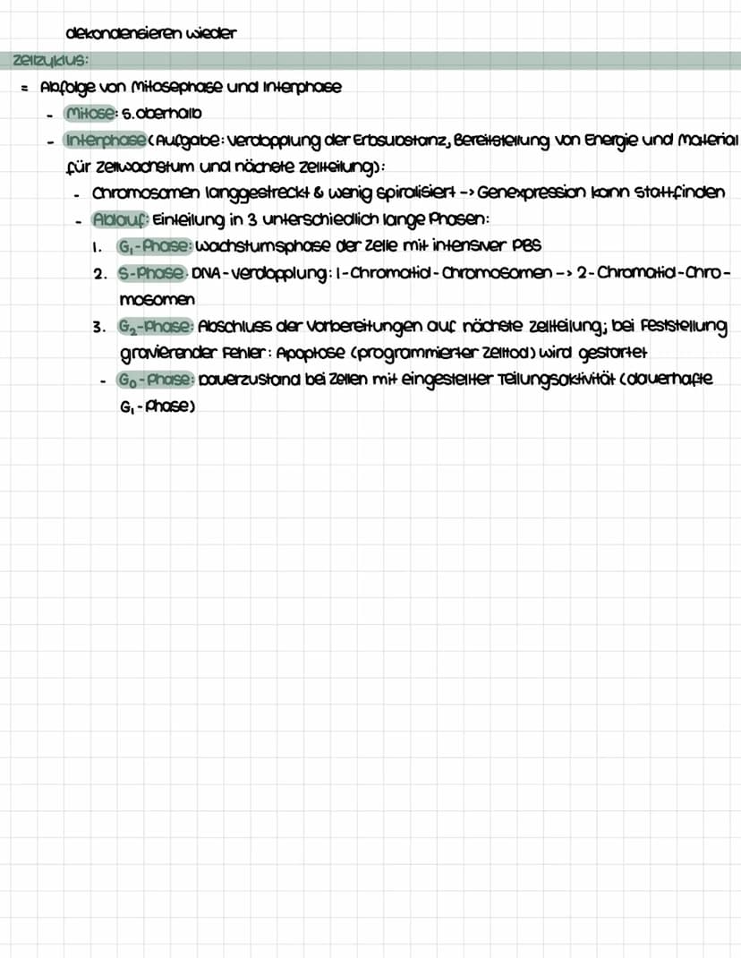 Inhaltsfeld 1: Biologie der Zelle
zellaufbau
zellen = abgetrennte Kompartimente, in denen sich weitere kleinere Bestandteile befinden
unters