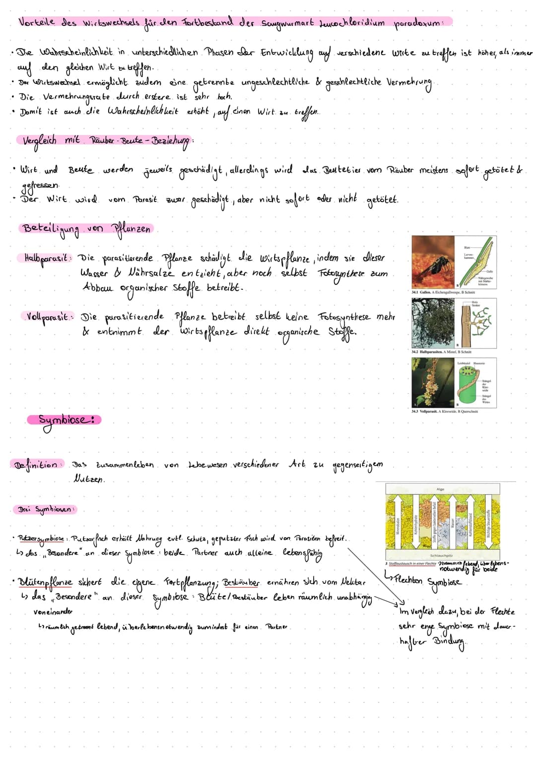 Energie entwertung
remar
Stred
im
Nahrungsbeziehungen
Trophie ebene:
· Ökosystem Wald:
1 Energleumwandlung in einem Glied der Nahrungskette
