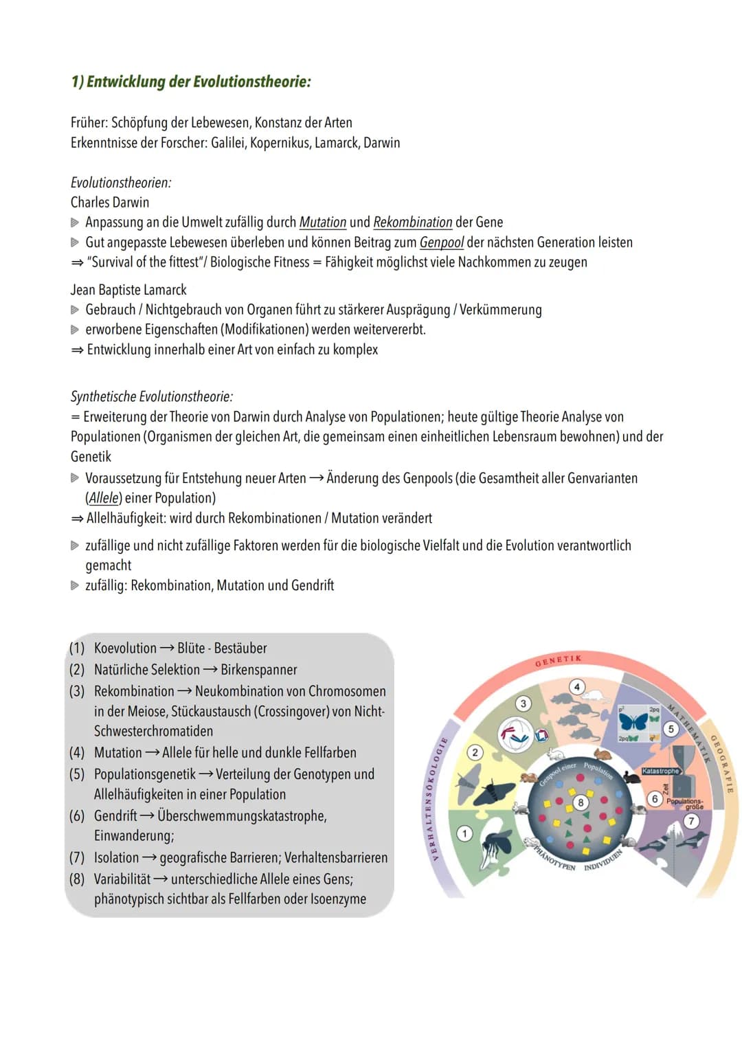 Die wichtigsten Begriffe:
Evolution
Population
Genpool
Variabilität
Evolutionäre Fitness
Isolation
Begriff
Morphologischer Artberiff
biologi