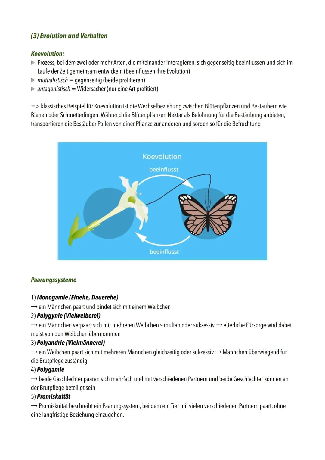 Die wichtigsten Begriffe:
Evolution
Population
Genpool
Variabilität
Evolutionäre Fitness
Isolation
Begriff
Morphologischer Artberiff
biologi