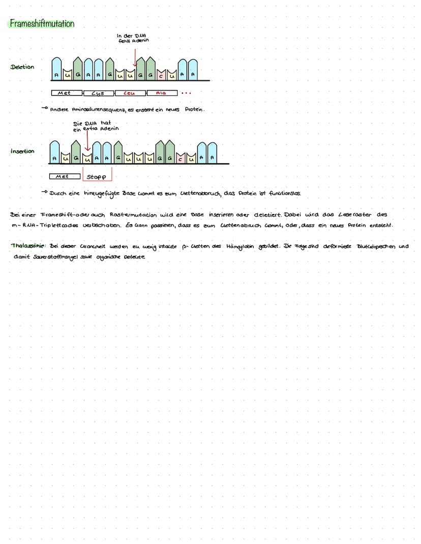 Mutationen
Definition
Nicht vorhersagbare Veränderungen der DNA. Mutationen sind größtenteils neutral und verändern den Phänotyp nicht, da m