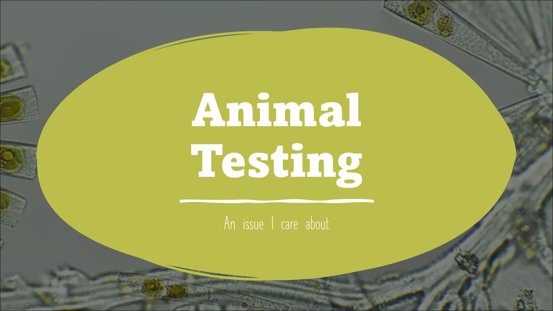 Animal
Testing
An issue I care about  Definition
animal experimentation, animal research, in vivo testing
• living animals used to develop m