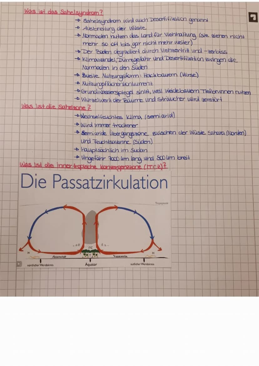□ Geographie - Klausur
Was ist der Syndromansatz 2
Ausgangspunut!
Einfache Ursache-wirkungshette:
Aufstockung der
Herden
überweidung
symptom