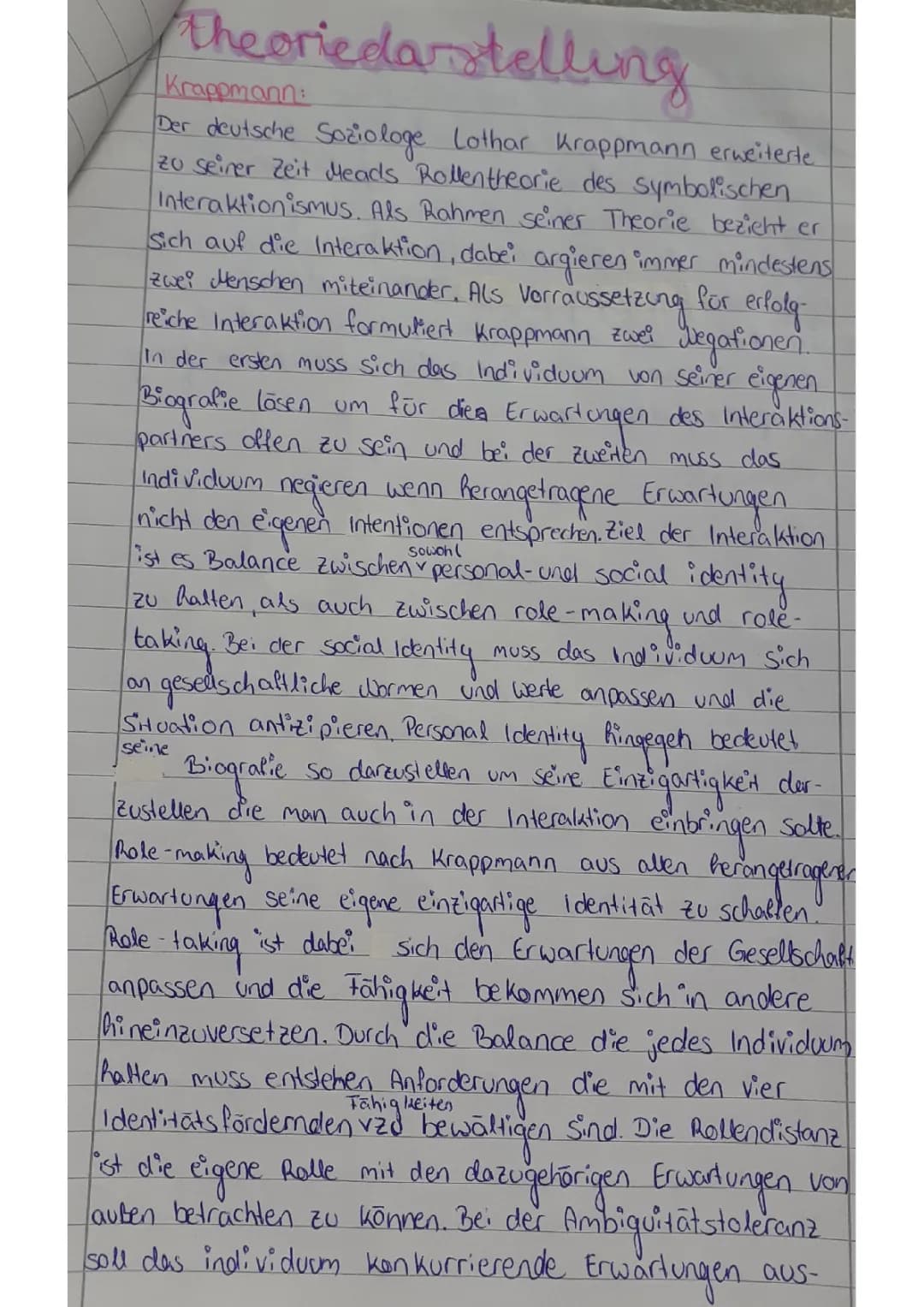 Theoriedarstellung Krappmann