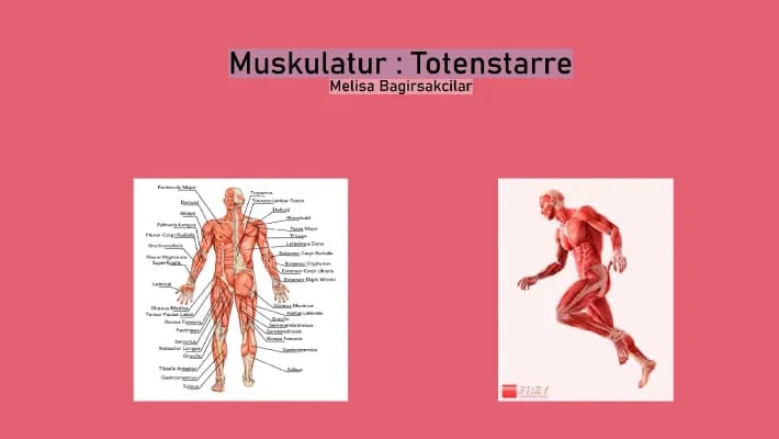 Know Totenstarre thumbnail