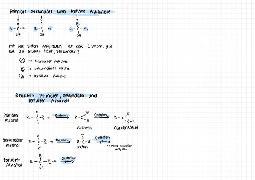 Die homologe Reihe
Methanol C₁H40/C₂30
Ethan ol
Propanol
C₂H60/C₂H5OH
Butan ol
Pentan ol
Hexan ol
C3H₂O
Cytt 100
CsH2O
C6H₁O
Heptanol C₂H₁60