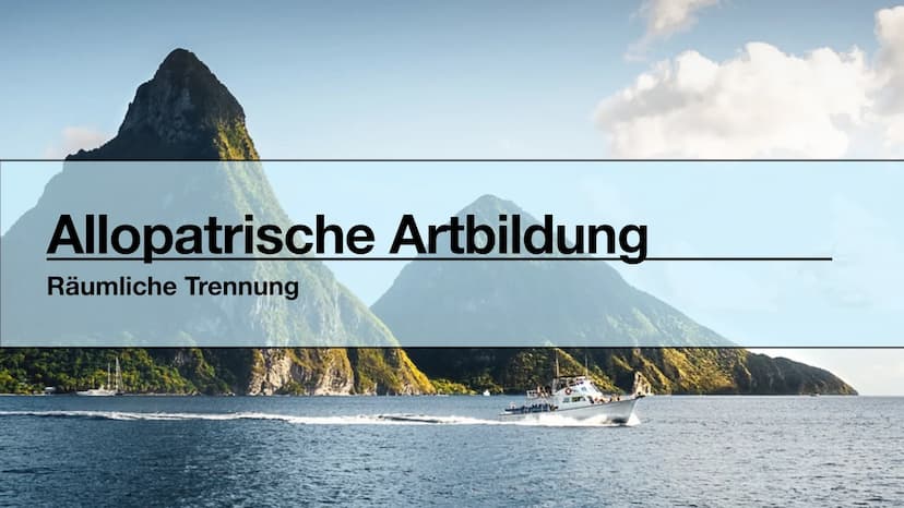 Biodiversität
•Allopatrische Artbildung
•Sympatrische Artbildung
Lina, Marie, Ola Biodiversität
Artenvielfalt Biodiversität
Artenvielfalt
• 