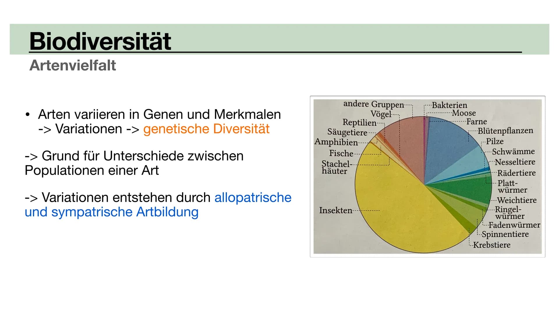 Biodiversität
•Allopatrische Artbildung
•Sympatrische Artbildung
Lina, Marie, Ola Biodiversität
Artenvielfalt Biodiversität
Artenvielfalt
• 