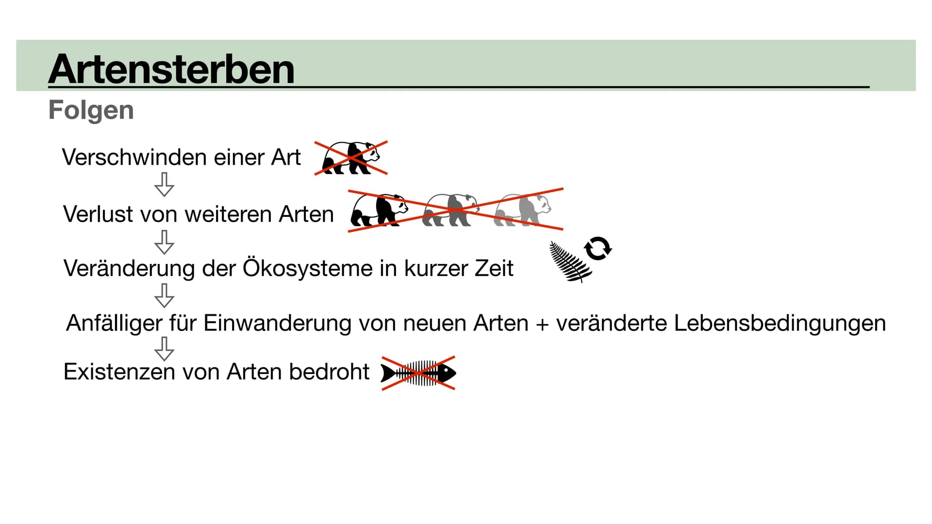 Biodiversität
•Allopatrische Artbildung
•Sympatrische Artbildung
Lina, Marie, Ola Biodiversität
Artenvielfalt Biodiversität
Artenvielfalt
• 