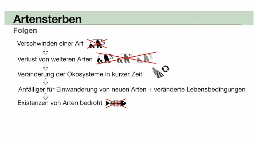 Biodiversität
•Allopatrische Artbildung
•Sympatrische Artbildung
Lina, Marie, Ola Biodiversität
Artenvielfalt Biodiversität
Artenvielfalt
• 
