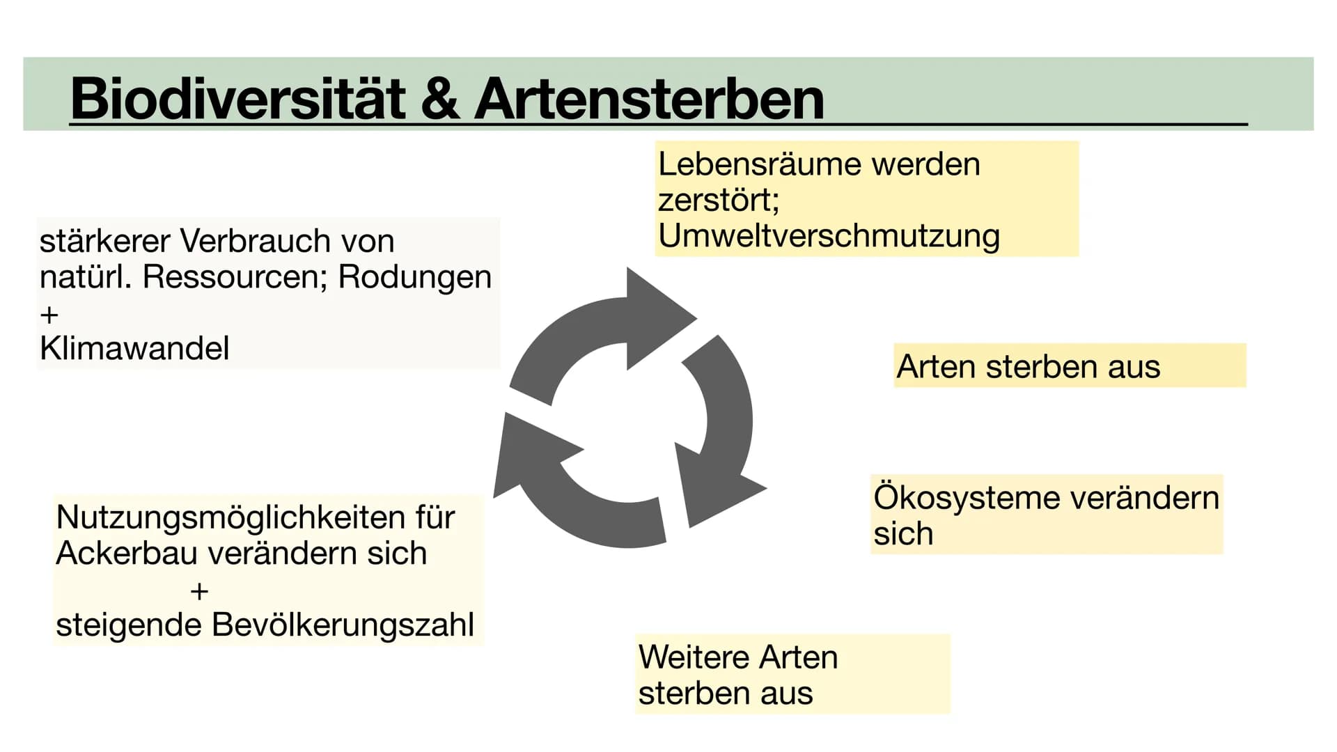 Biodiversität
•Allopatrische Artbildung
•Sympatrische Artbildung
Lina, Marie, Ola Biodiversität
Artenvielfalt Biodiversität
Artenvielfalt
• 