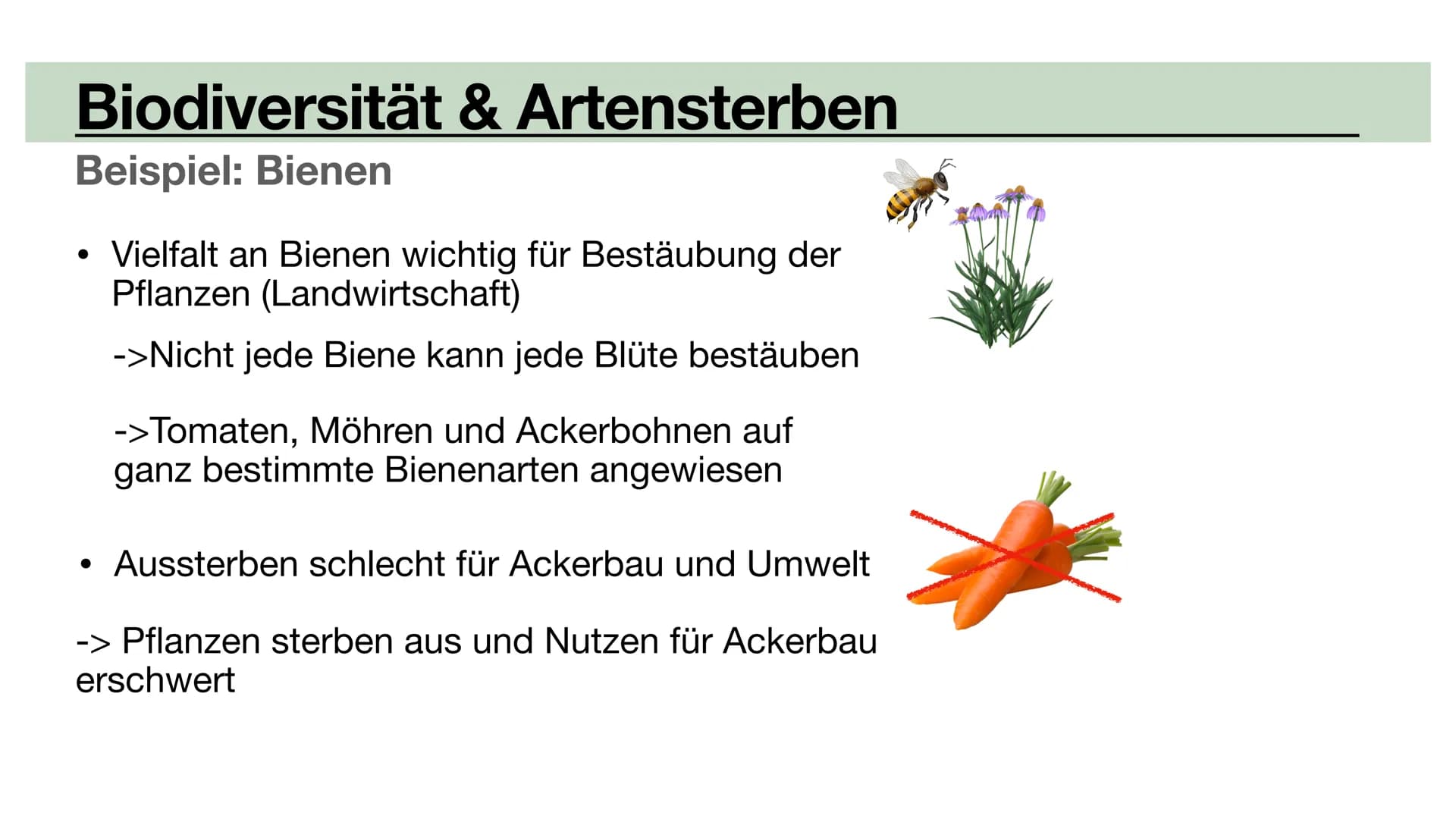 Biodiversität
•Allopatrische Artbildung
•Sympatrische Artbildung
Lina, Marie, Ola Biodiversität
Artenvielfalt Biodiversität
Artenvielfalt
• 