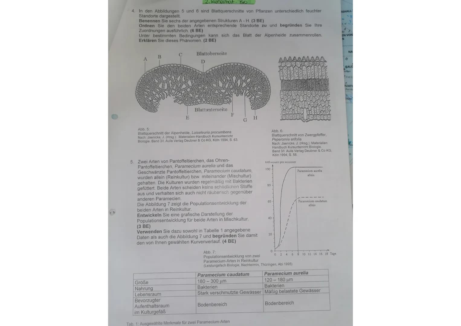 SAU
IRAL
2. Kursarbeit Bio
1. In einem Experiment wurden abgekochte, heiße Kartoffeln verschiedener Form und Größe mit
einem Thermometer ver