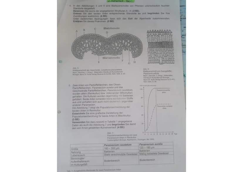 SAU
IRAL
2. Kursarbeit Bio
1. In einem Experiment wurden abgekochte, heiße Kartoffeln verschiedener Form und Größe mit
einem Thermometer ver