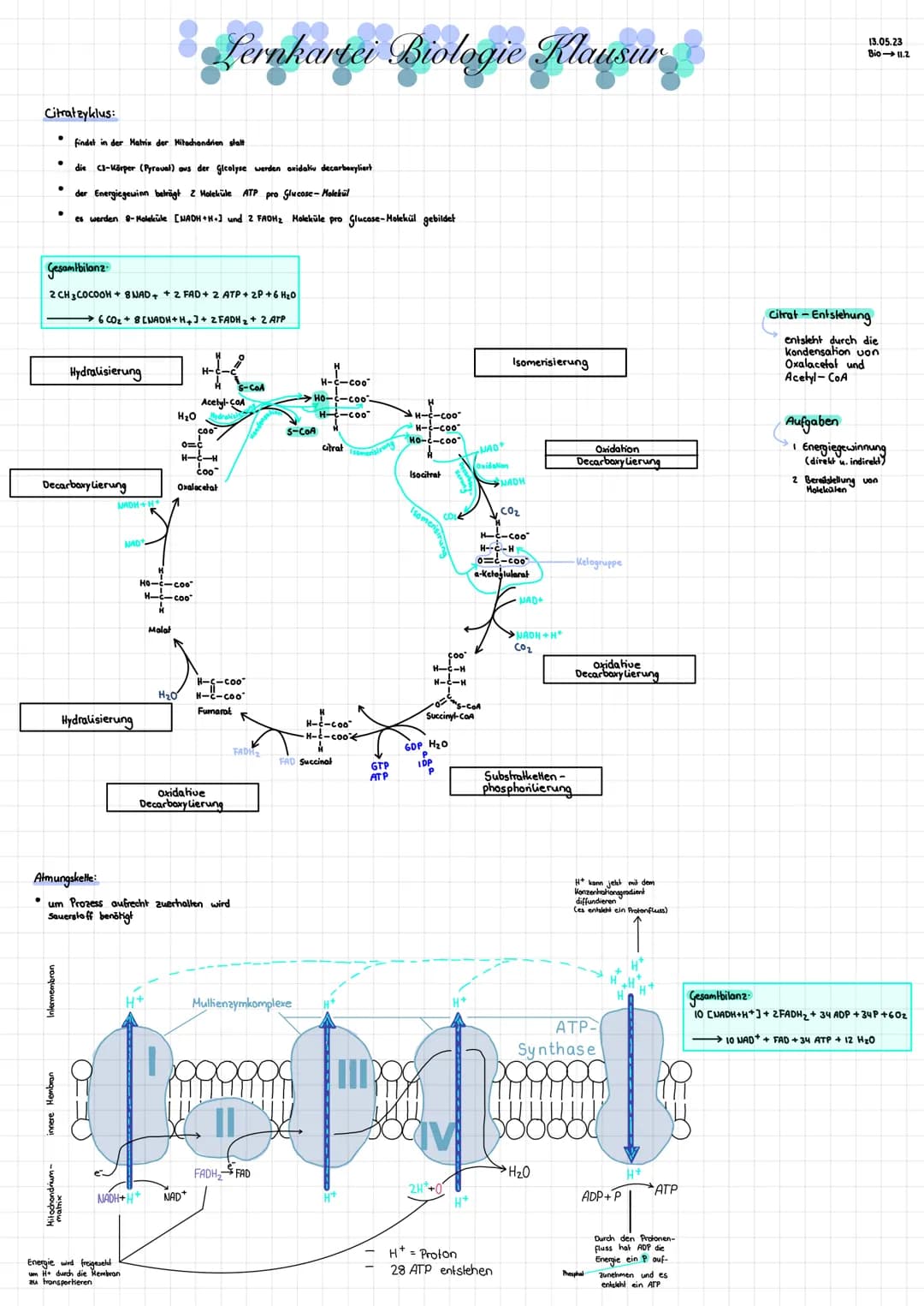 Lernkartei Zellatmung Klausur
1. Energiegewinnung durch Zellatmung
O aerob & anaerob
O Nahrungsverarbeitung
2. Zellatmung
• Definition
• Tei