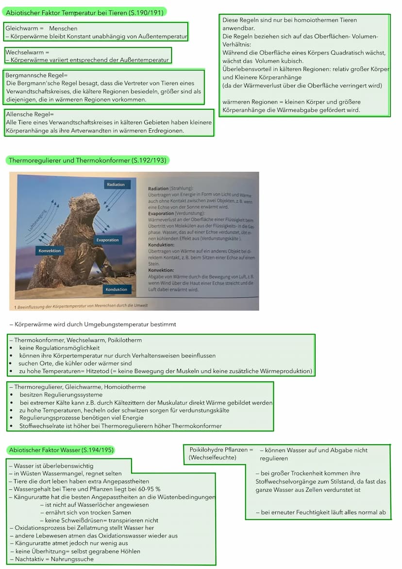 BIOLOGIE ÖKOLOGIE
Abiotische und biotische Faktoren wirken auf Lebewesen (S.186/187)
Biotische Umweltfaktoren:
- Faktoren aus der belebten U
