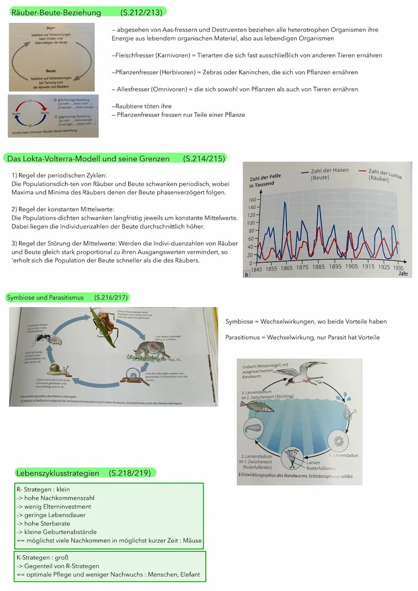 BIOLOGIE ÖKOLOGIE
Abiotische und biotische Faktoren wirken auf Lebewesen (S.186/187)
Biotische Umweltfaktoren:
- Faktoren aus der belebten U