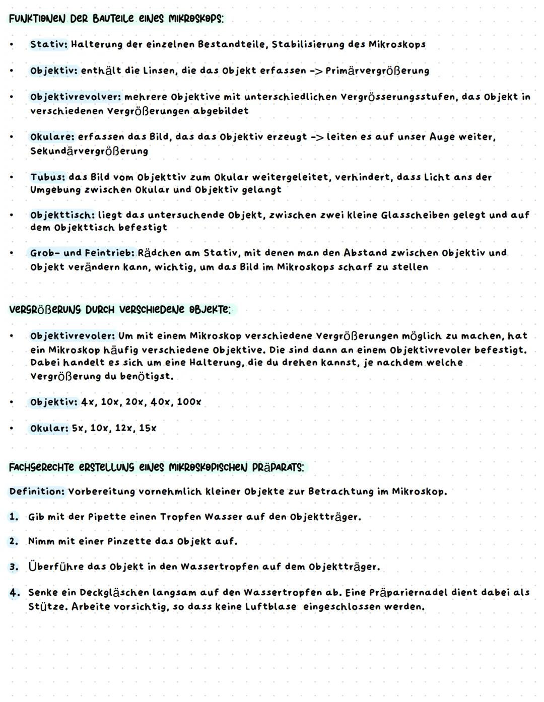 Das Mikroskop
Okular
Stativ
Grobtrieb
Feintrieb
2 Die Gesamtvergrößerung berechnet man aus dem Produkt von
und
Objektivvergrößerung
Gesamtve