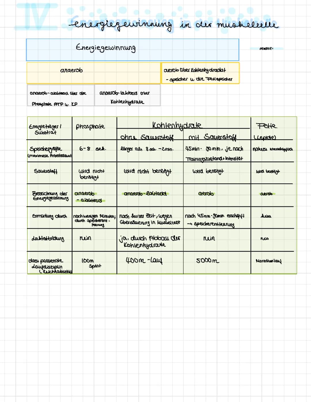 Energiegewinnung in der Muskelzelle