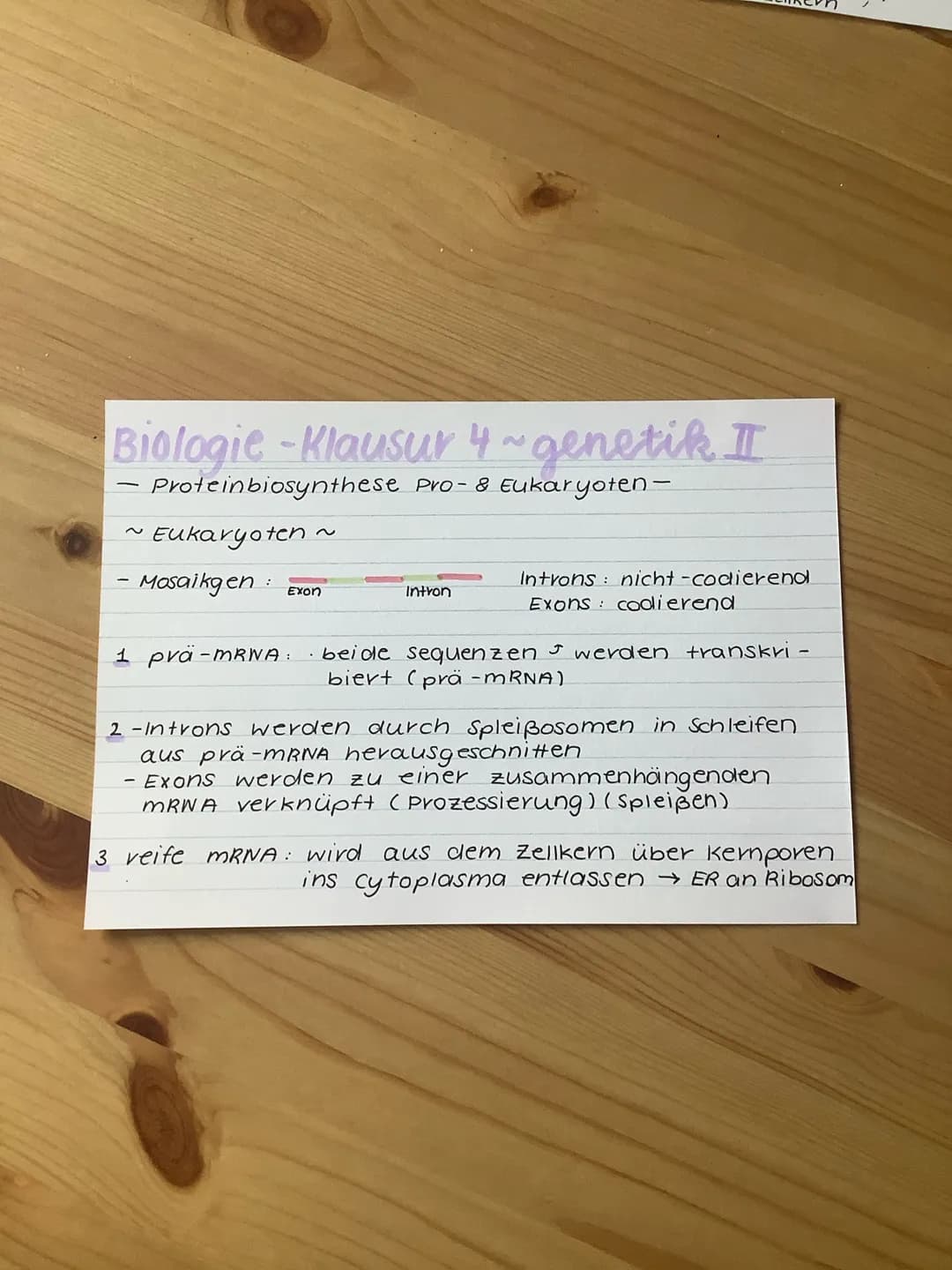 Biologie-Klausur 4 ~ genetik II
Proteinbiosynthese pro- & Eukaryoten -
Gemeinsamkeiten ~
• Genexpression in zwei Schritten
1 Transkription
2