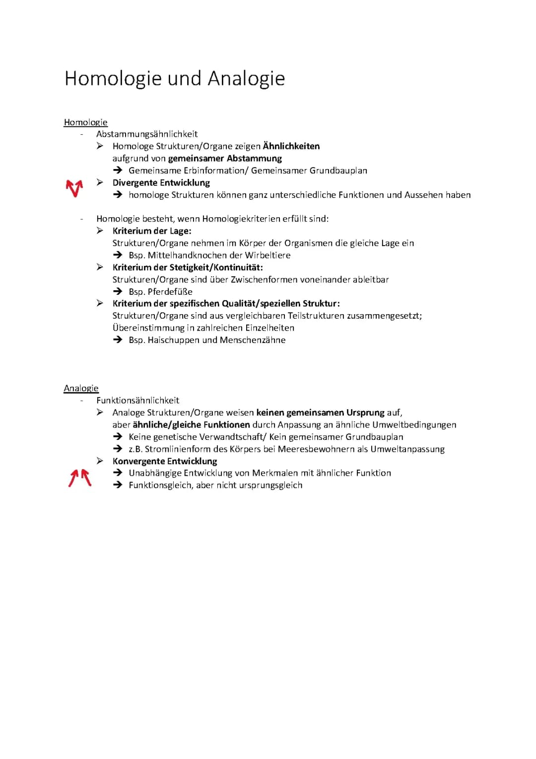 Homologie und Analogie