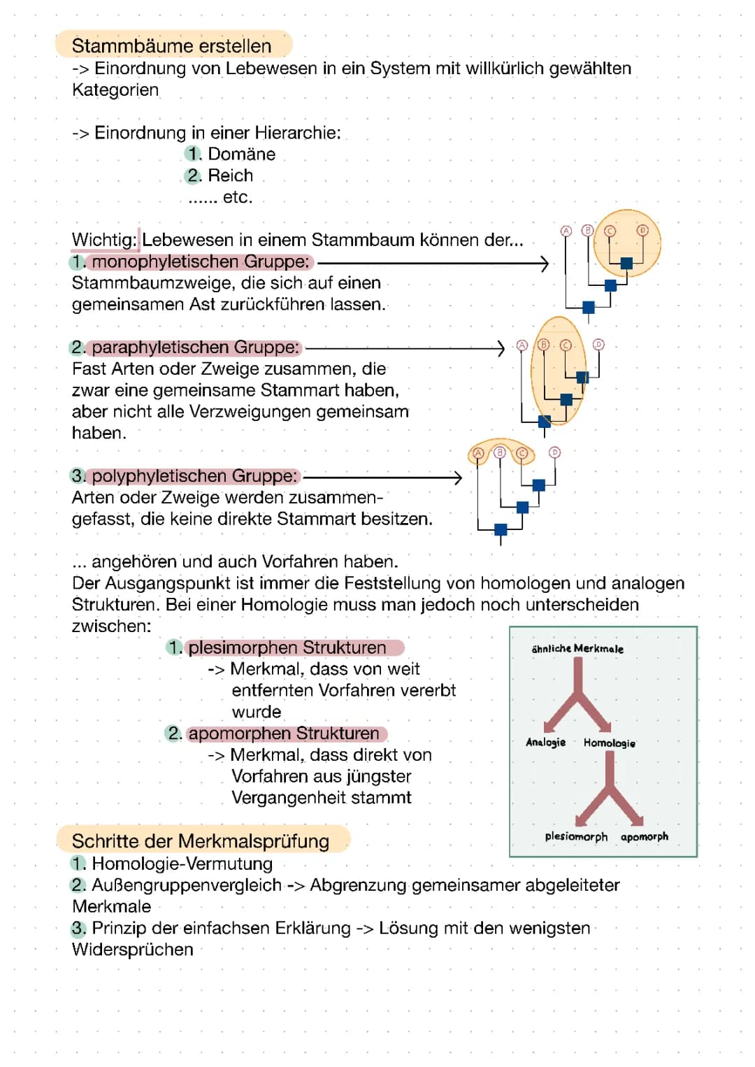 Stammbäume und ihre Erstellung leicht erklärt