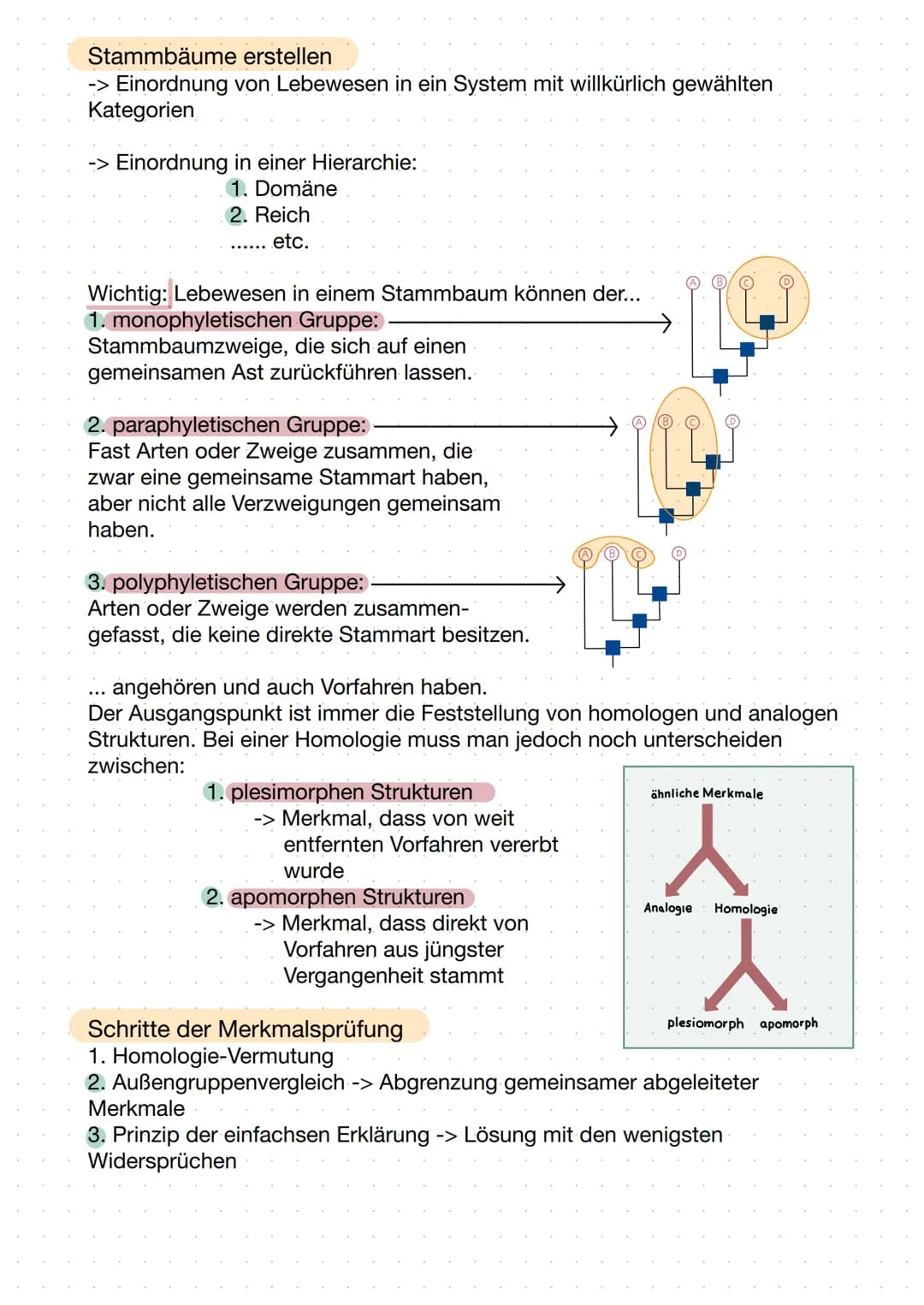 Stammbäume erstellen
-> Einordnung von Lebewesen in ein System mit willkürlich gewählten
Kategorien
-> Einordnung in einer Hierarchie:
1. Do