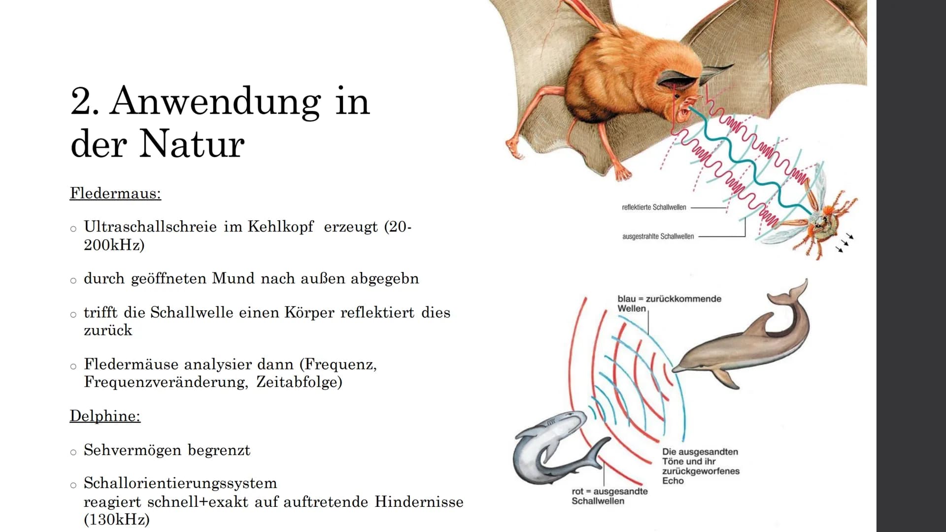 Ultraschall Gliederung
Allgemeine Grundlagen
Entstehung und Ausbreitung
Anwendung
1. in der Medizin
1.1 Diagnostische Anwendung
1.2 Therapeu