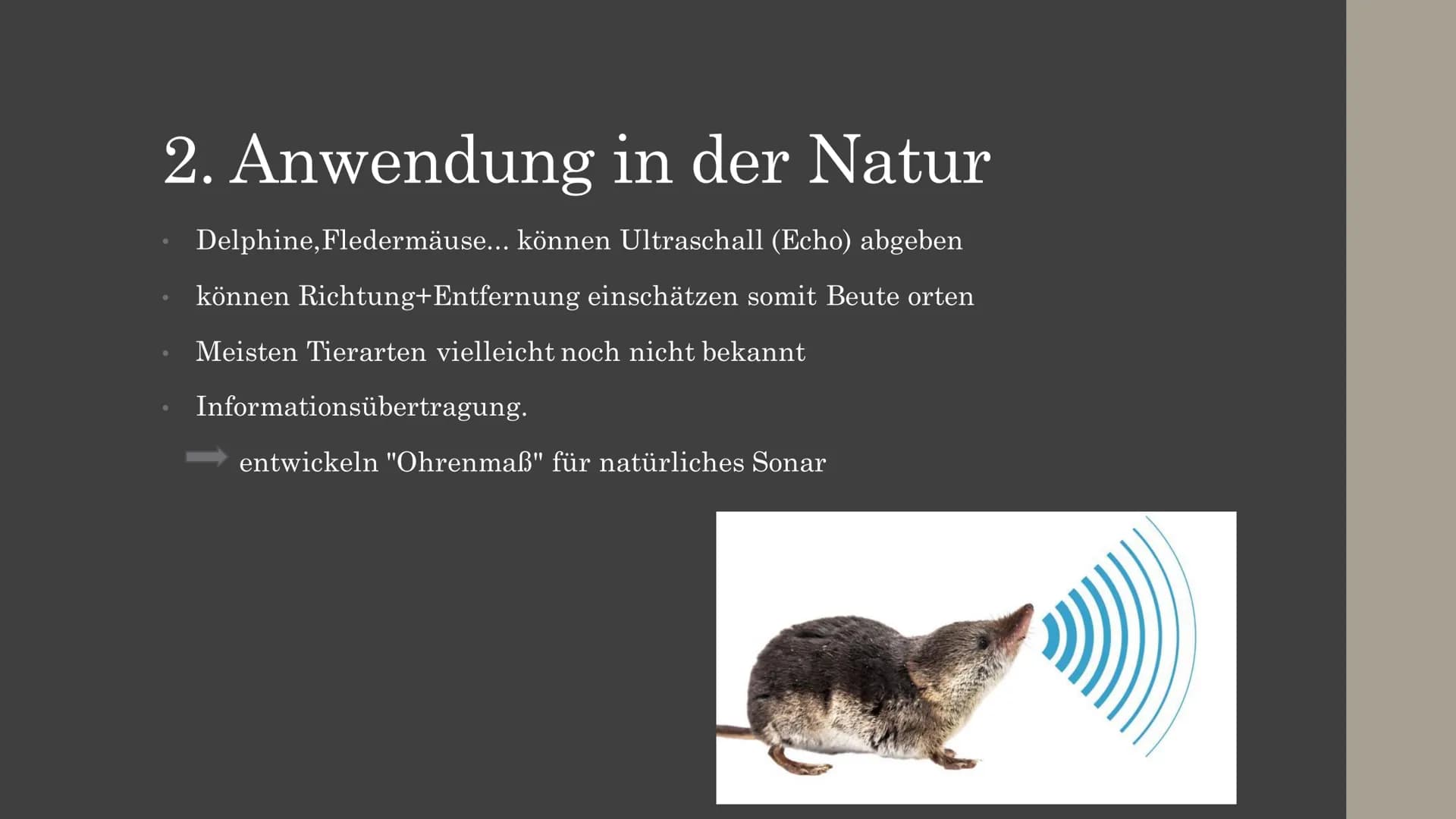 Ultraschall Gliederung
Allgemeine Grundlagen
Entstehung und Ausbreitung
Anwendung
1. in der Medizin
1.1 Diagnostische Anwendung
1.2 Therapeu