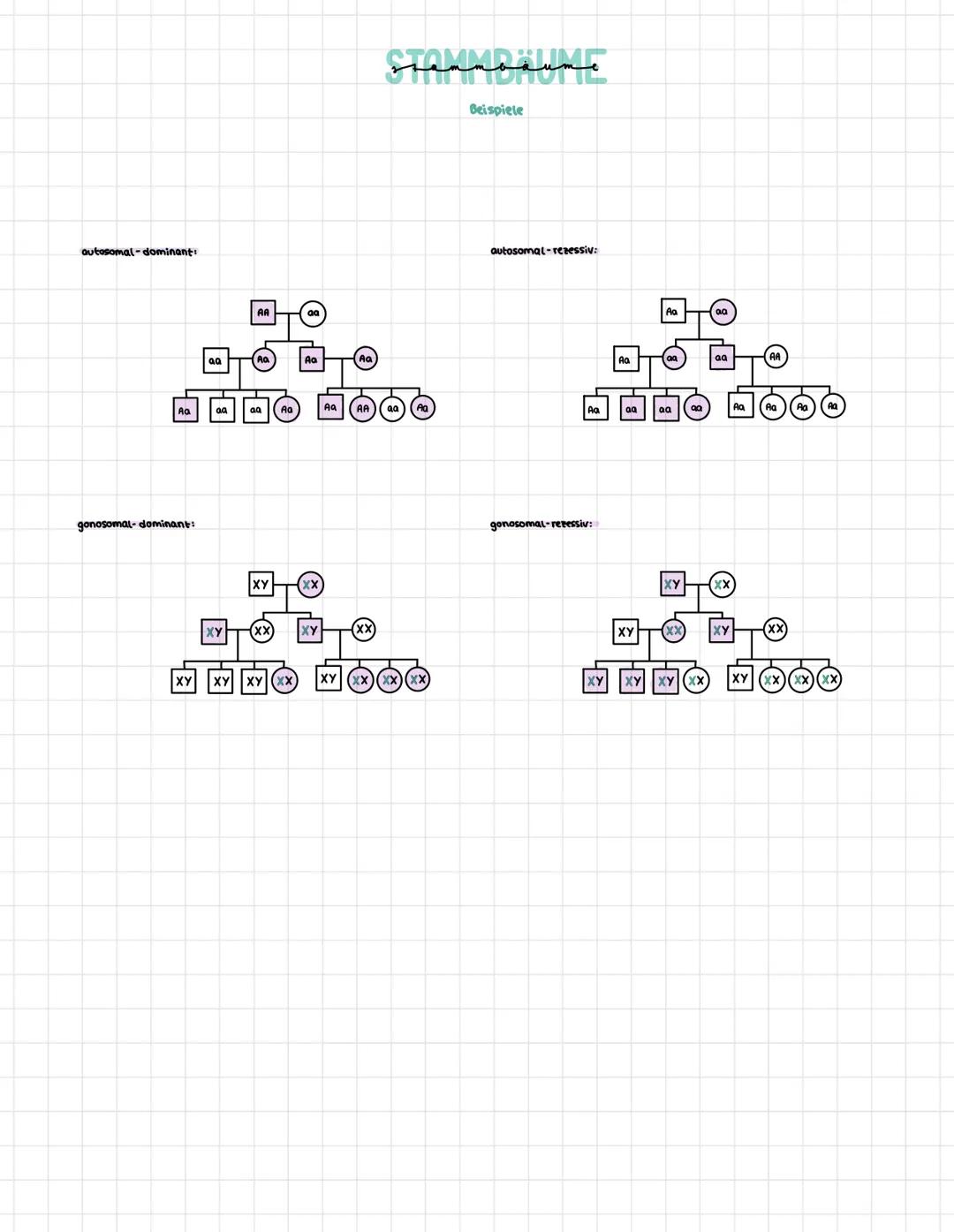 Autosomale Vererbung:

Die Gene des Merkmals ungen auf den Nicht-Geschlechtlichen Chromosomen Autosomen

dominant:

Allel für die Ausprägung