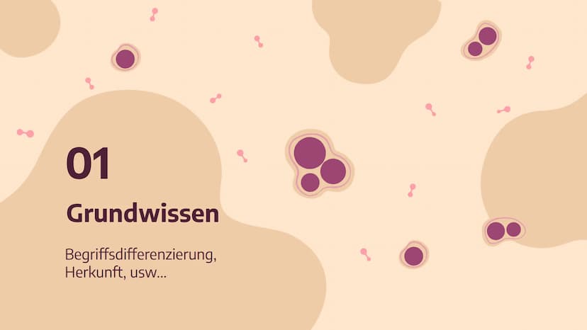 Das
HI-Virus /
AIDS
Von Stella Nickel (11/1) und
Vivien Puchert (11/6) 01
Grundwissen
Begriffsdifferenzierung,
Herkunft, usw...
03
Biologie
