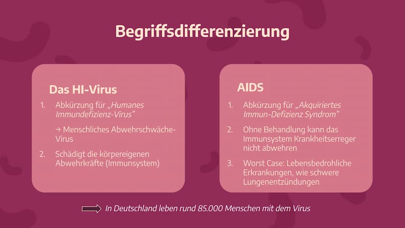 Das
HI-Virus /
AIDS
Von Stella Nickel (11/1) und
Vivien Puchert (11/6) 01
Grundwissen
Begriffsdifferenzierung,
Herkunft, usw...
03
Biologie
