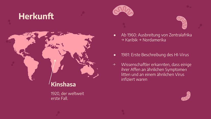 Das
HI-Virus /
AIDS
Von Stella Nickel (11/1) und
Vivien Puchert (11/6) 01
Grundwissen
Begriffsdifferenzierung,
Herkunft, usw...
03
Biologie
