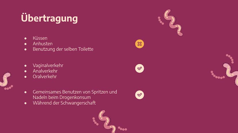 Das
HI-Virus /
AIDS
Von Stella Nickel (11/1) und
Vivien Puchert (11/6) 01
Grundwissen
Begriffsdifferenzierung,
Herkunft, usw...
03
Biologie
