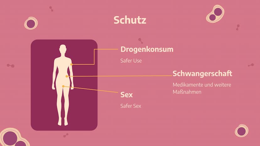 Das
HI-Virus /
AIDS
Von Stella Nickel (11/1) und
Vivien Puchert (11/6) 01
Grundwissen
Begriffsdifferenzierung,
Herkunft, usw...
03
Biologie
