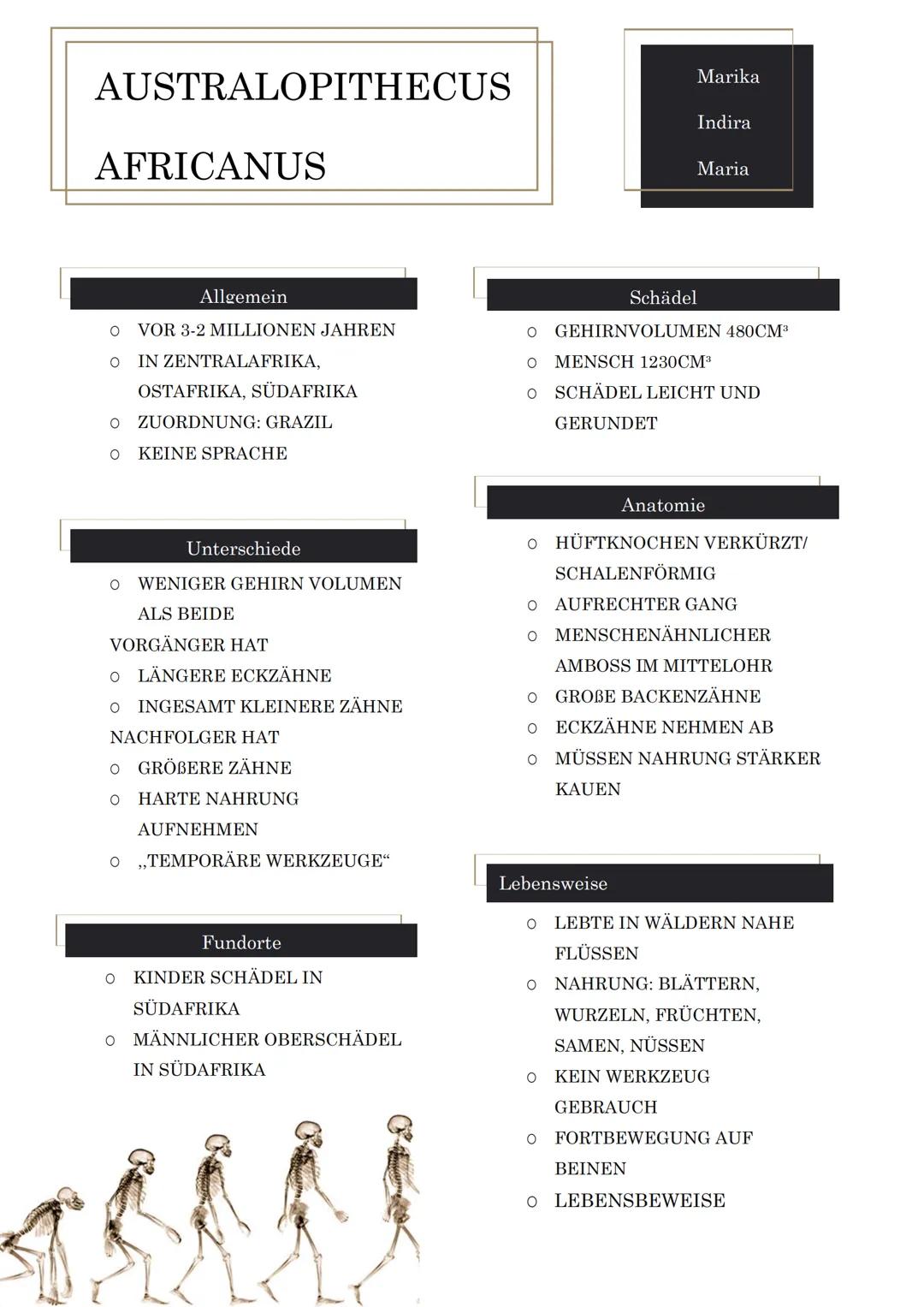 Die Entwicklung des Menschen: Ein Zeitstrahl für Kinder und spannende Fakten!