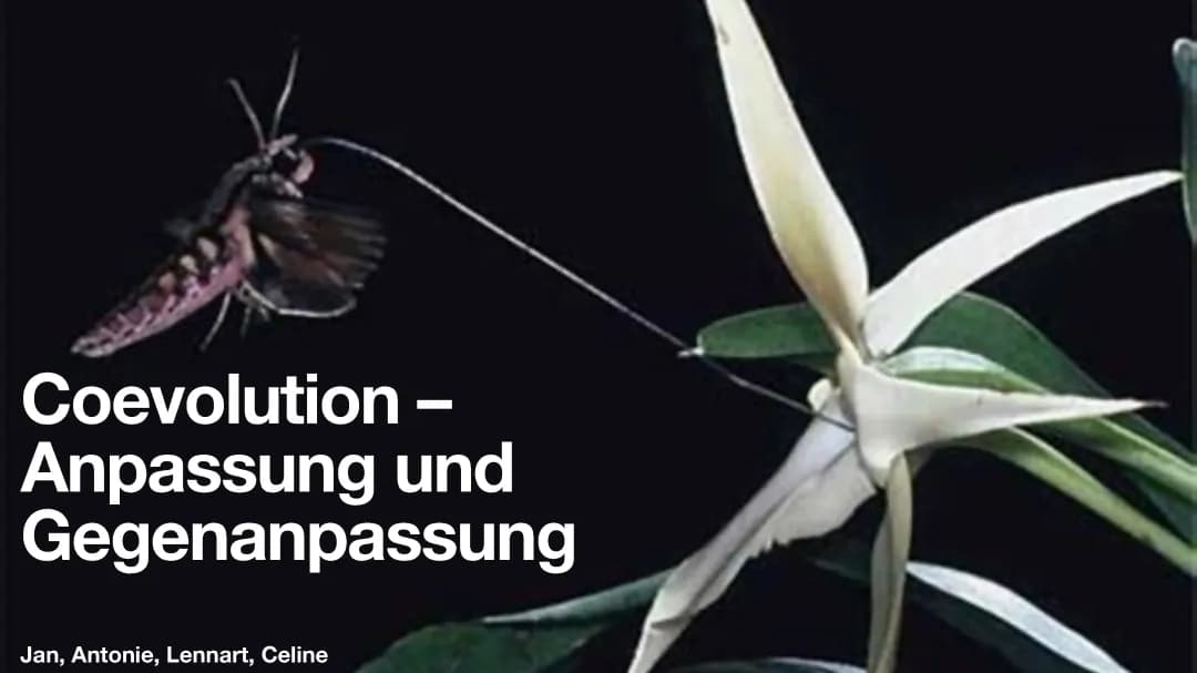 Coevolution- Anpassung und Gegenanpassung 