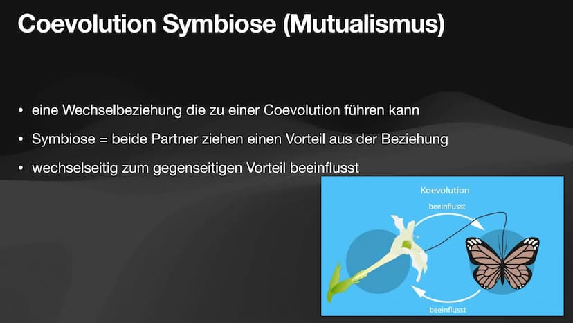 Coevolution
Anpassung und
Gegenanpassung
Jan, Antonie, Lennart, Celine Coevolution
Definition
Ergebnis fortwährender gegenseitiger Anpassung