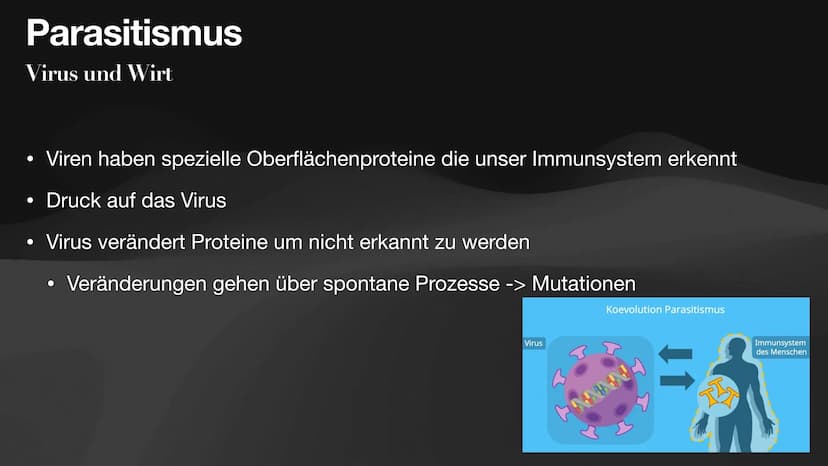 Coevolution
Anpassung und
Gegenanpassung
Jan, Antonie, Lennart, Celine Coevolution
Definition
Ergebnis fortwährender gegenseitiger Anpassung