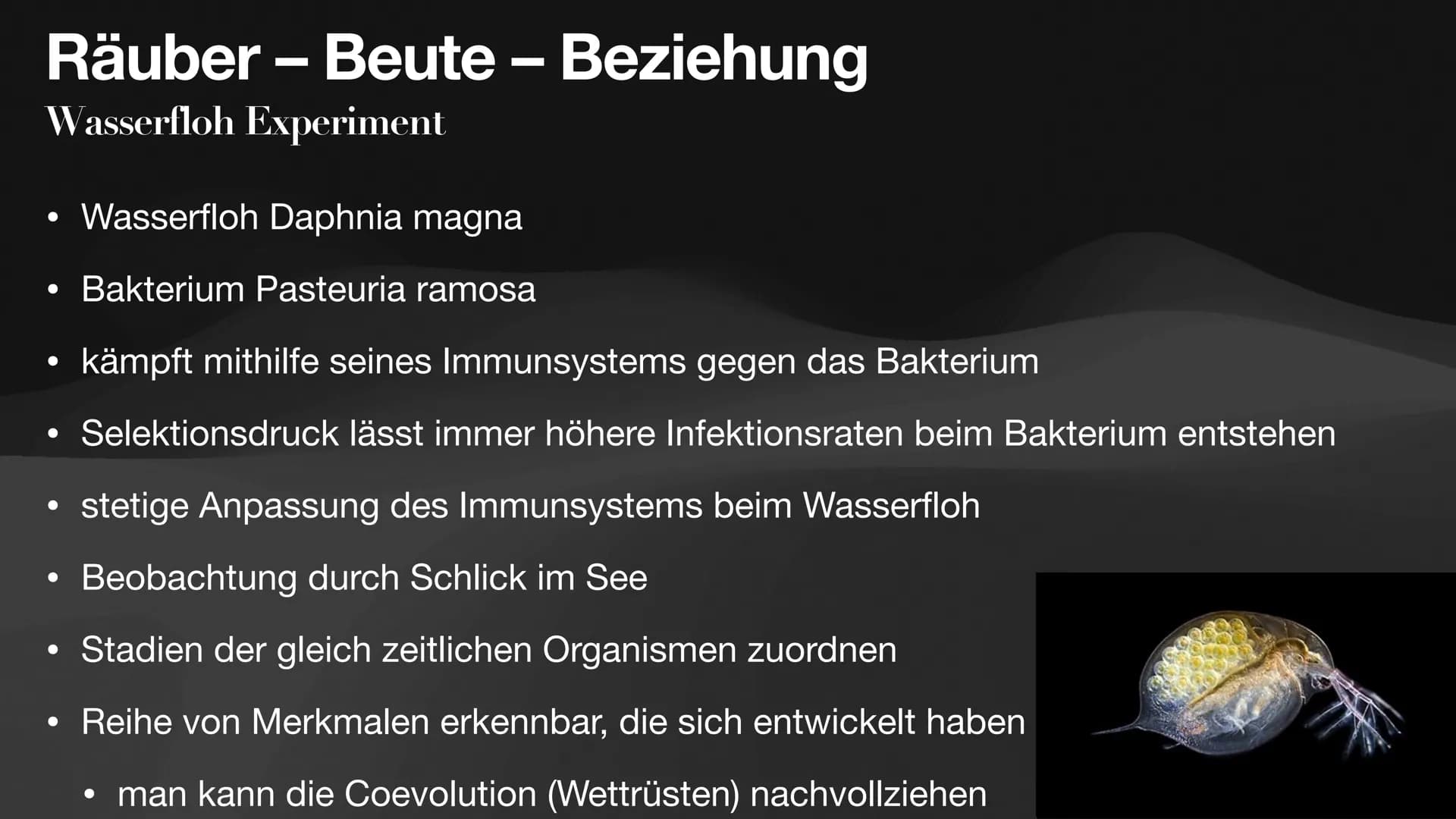 Coevolution
Anpassung und
Gegenanpassung
Jan, Antonie, Lennart, Celine Coevolution
Definition
Ergebnis fortwährender gegenseitiger Anpassung