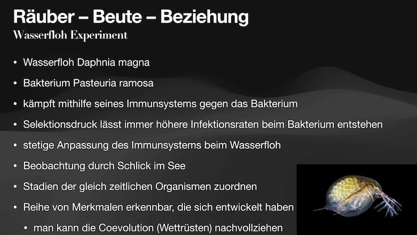 Coevolution
Anpassung und
Gegenanpassung
Jan, Antonie, Lennart, Celine Coevolution
Definition
Ergebnis fortwährender gegenseitiger Anpassung