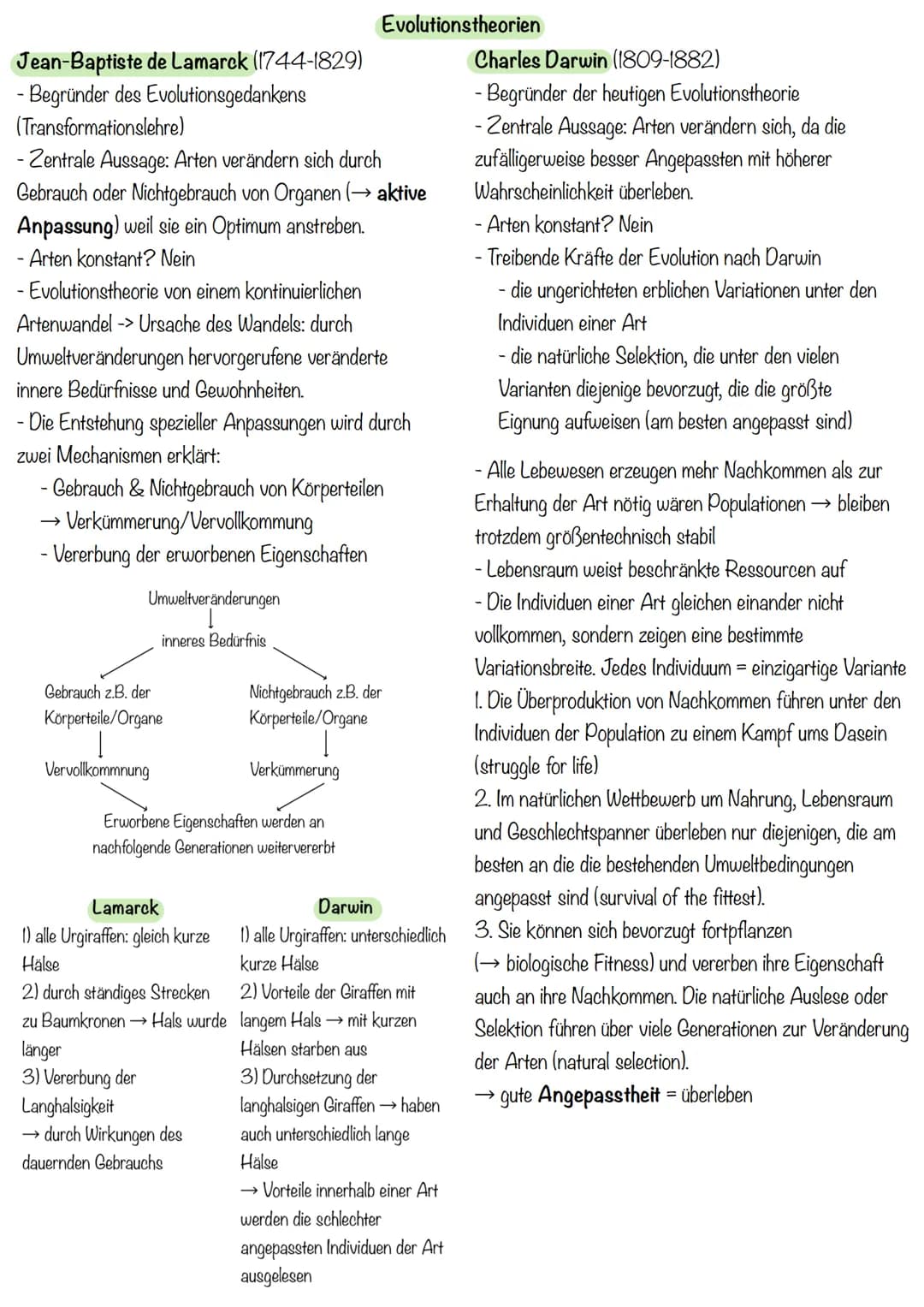 liologic klausua evolution
Evolution
Alle Veränderungen, durch die das Leben auf der Erde zu seiner heutigen Form und Vielfalt gelangt, nenn
