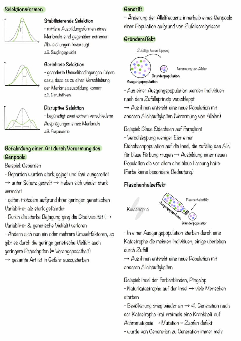 liologic klausua evolution
Evolution
Alle Veränderungen, durch die das Leben auf der Erde zu seiner heutigen Form und Vielfalt gelangt, nenn