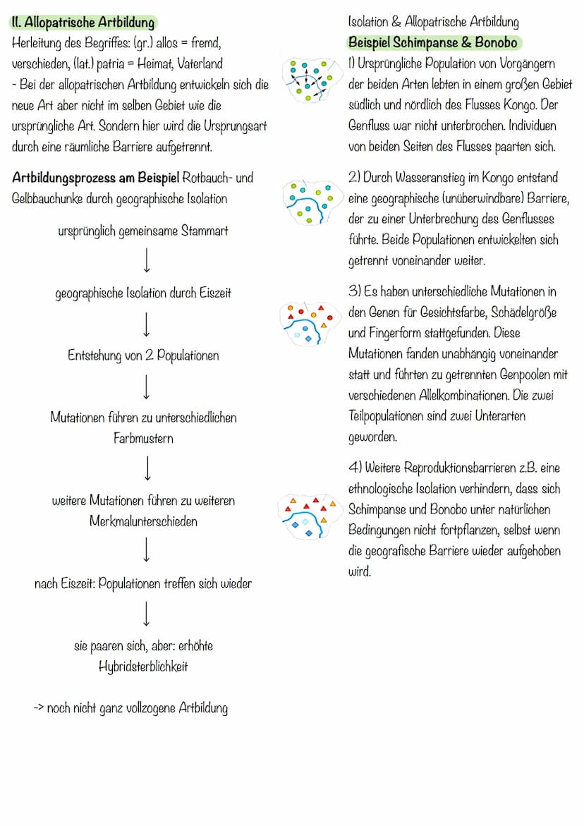 liologic klausua evolution
Evolution
Alle Veränderungen, durch die das Leben auf der Erde zu seiner heutigen Form und Vielfalt gelangt, nenn