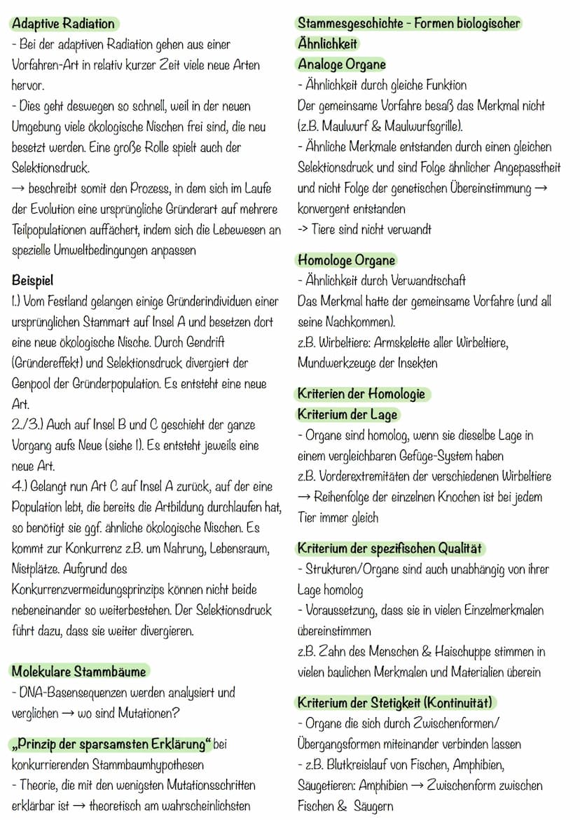 liologic klausua evolution
Evolution
Alle Veränderungen, durch die das Leben auf der Erde zu seiner heutigen Form und Vielfalt gelangt, nenn